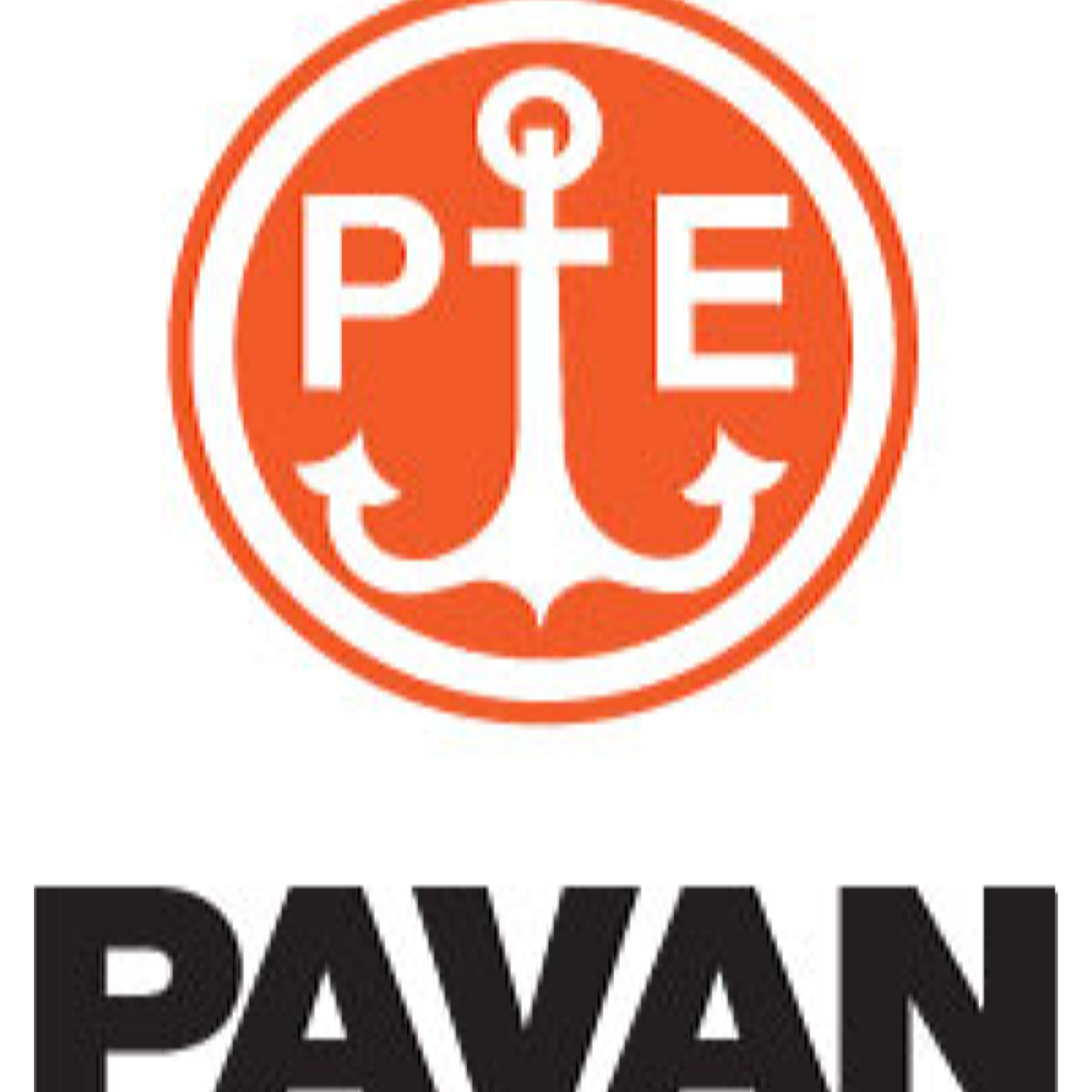 www.pavanspa.it.png